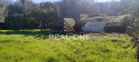 Terreno rústico com 4.555 m2 com armazém