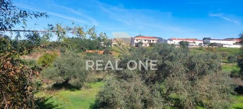 Terreno rústico com 4.555 m2 com armazém