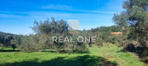 Terreno rústico com 4.555 m2 com armazém