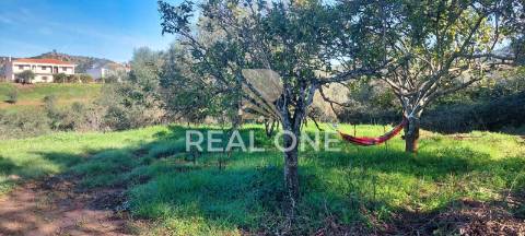 Terreno rústico com 4.555 m2 com armazém