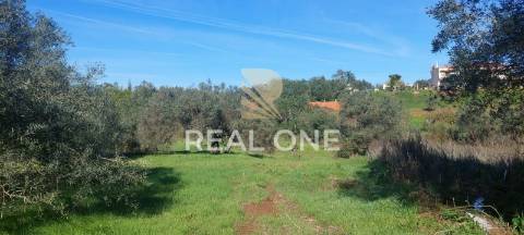 Terreno rústico com 4.555 m2 com armazém