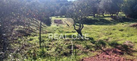 Terreno rústico com 4.555 m2 com armazém