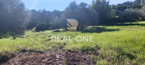 Terreno rústico com 4.555 m2 com armazém