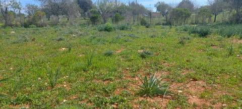 Terreno em Albufeira com 21.790 m2