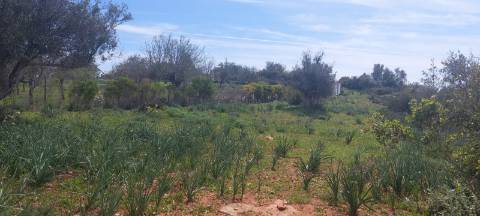 Terreno em Albufeira com 21.790 m2