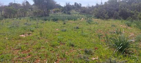 Terreno em Albufeira com 21.790 m2