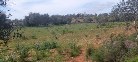 Terreno em Albufeira com 21.790 m2