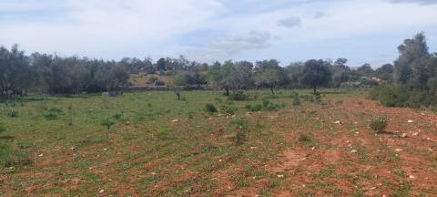Terreno em Albufeira com 21.790 m2