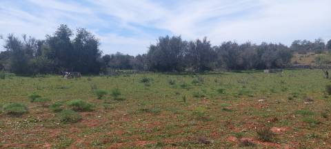 Terreno em Albufeira com 21.790 m2