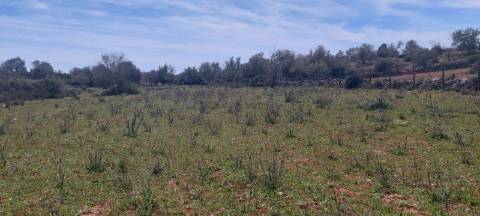 Terreno em Albufeira com 21.790 m2