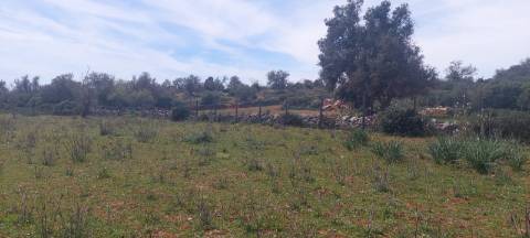 Terreno em Albufeira com 21.790 m2