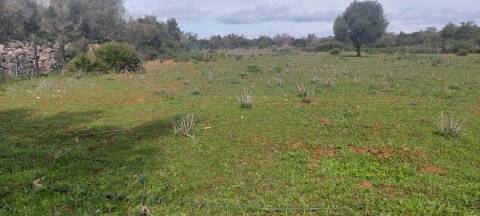 Terreno em Albufeira com 21.790 m2