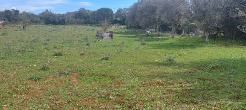 Terreno em Albufeira com 21.790 m2