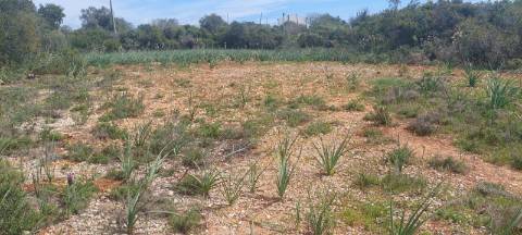 Terreno em Albufeira com 21.790 m2