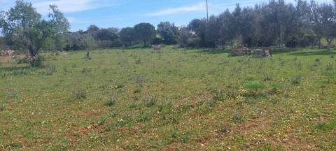 Terreno em Albufeira com 21.790 m2