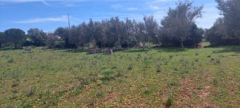 Terreno em Albufeira com 21.790 m2