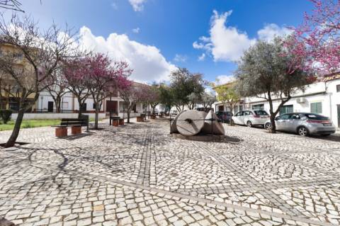 Loja no centro de algoz