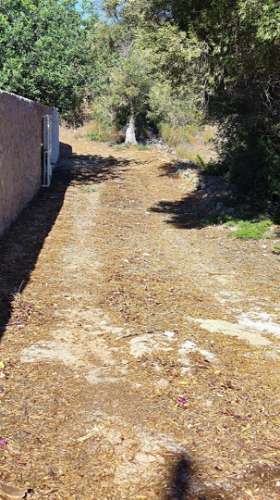 Terreno urbano + rústico 8.120 m2 em Tunes