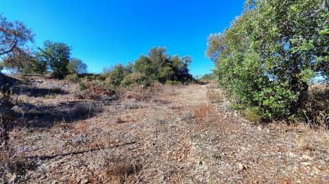 Terreno urbano + rústico 8.120 m2 em Tunes