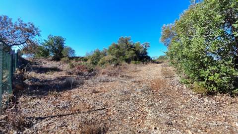 Terreno urbano + rústico 8.120 m2 em Tunes
