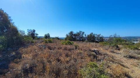 Terreno urbano + rústico 8.120 m2 em Tunes