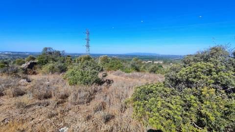 Terreno urbano + rústico 8.120 m2 em Tunes