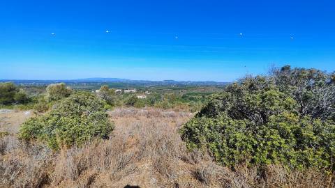Terreno urbano + rústico 8.120 m2 em Tunes