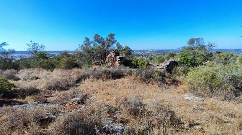 Terreno urbano + rústico 8.120 m2 em Tunes
