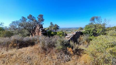 Terreno urbano + rústico 8.120 m2 em Tunes