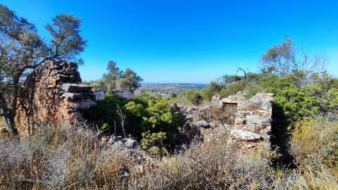 Terreno urbano + rústico 8.120 m2 em Tunes