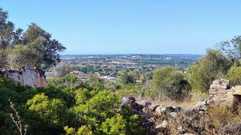 Terreno urbano + rústico 8.120 m2 em Tunes