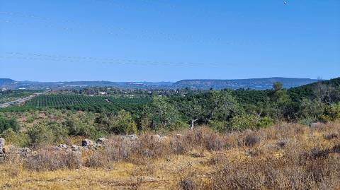 Terreno urbano + rústico 8.120 m2 em Tunes