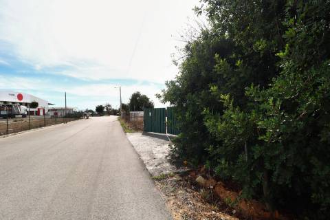 Terreno rústico para aluguer na EN 125 Guia