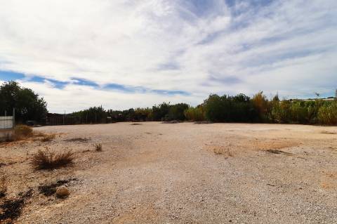 Terreno rústico para aluguer na EN 125 Guia