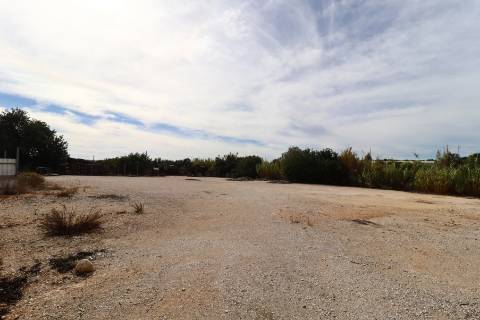 Terreno rústico para aluguer na EN 125 Guia