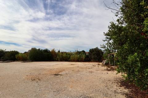 Terreno rústico para aluguer na EN 125 Guia