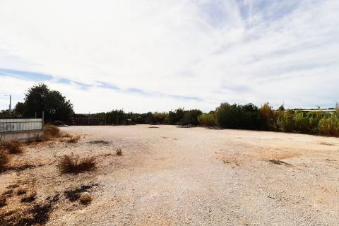 Terreno rústico para aluguer na EN 125 Guia