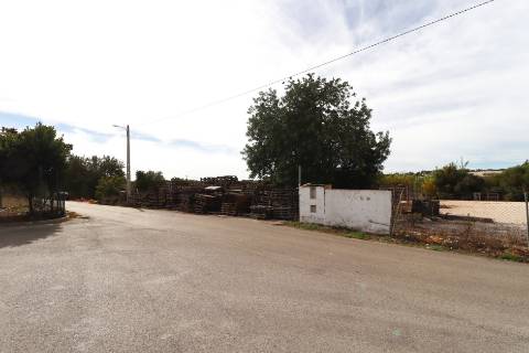 Terreno rústico para aluguer na EN 125 Guia