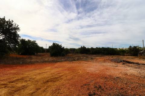 Terreno rústico para aluguer na EN 125 Guia