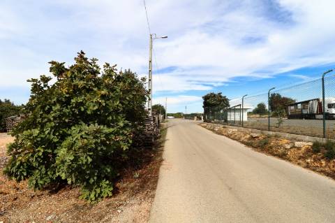 Terreno rústico para aluguer na EN 125 Guia