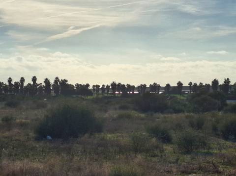Terreno perto dos Salgados, Galé, Vale Rabelho