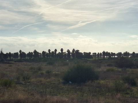 Terreno perto dos Salgados, Galé, Vale Rabelho
