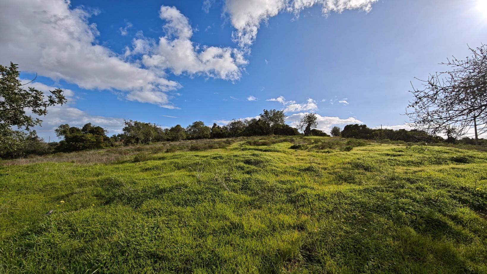 Terreno Misto com ruina, 21.760m² em Vale de Parra