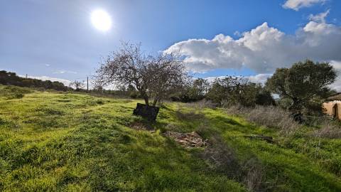 Terreno Misto com ruina, 21.760m² em Vale de Parra