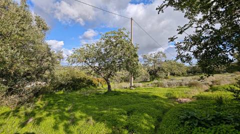 Terreno Misto com ruina, 21.760m² em Vale de Parra