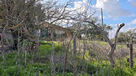 Terreno Misto com ruina, 21.760m² em Vale de Parra