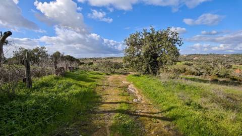 Terreno Misto com ruina, 21.760m² em Vale de Parra