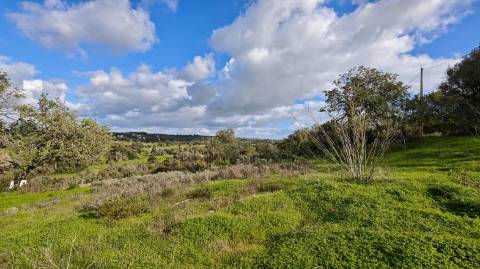 Terreno Misto com ruina, 21.760m² em Vale de Parra