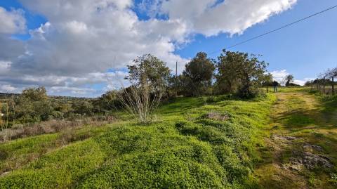 Terreno Misto com ruina, 21.760m² em Vale de Parra