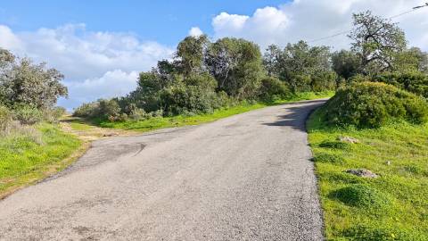 Terreno Misto com ruina, 21.760m² em Vale de Parra